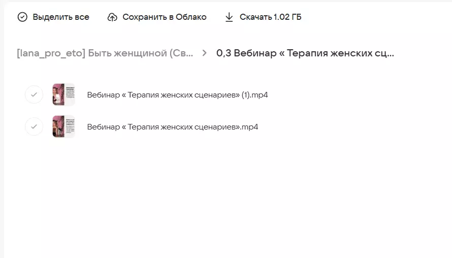 Скриншот 2