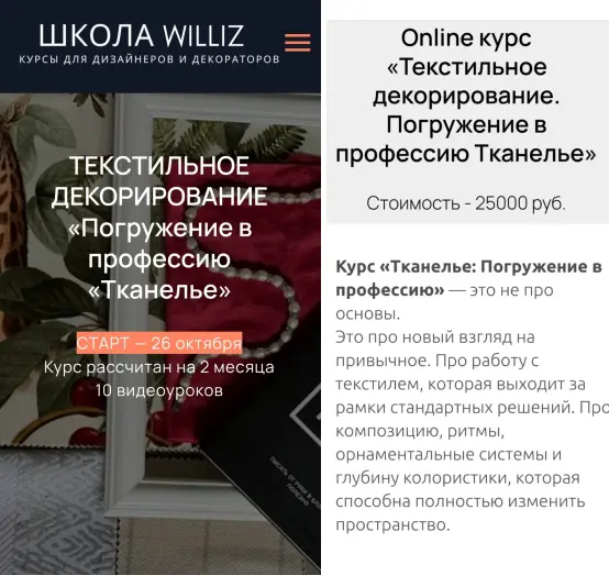 Williz / Анна Пронская - Текстильное декорирование. Погружение в профессию Тканелье. Basic
