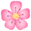Cherry blossom :cherry_blossom: 🌸
