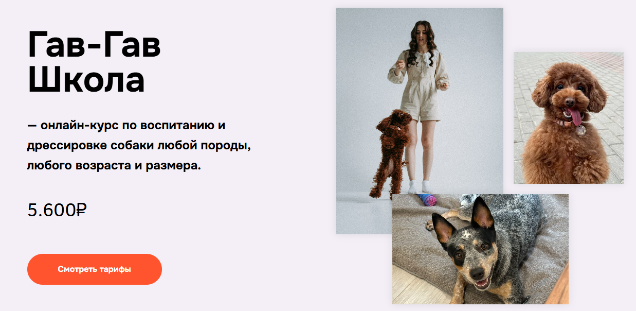 Татьяна Рожина → Гав / Гав-гав школа - гав школа 9.0