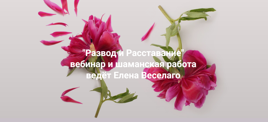 Институт Открытого поля - Елена Веселаго → Развод и Расставание